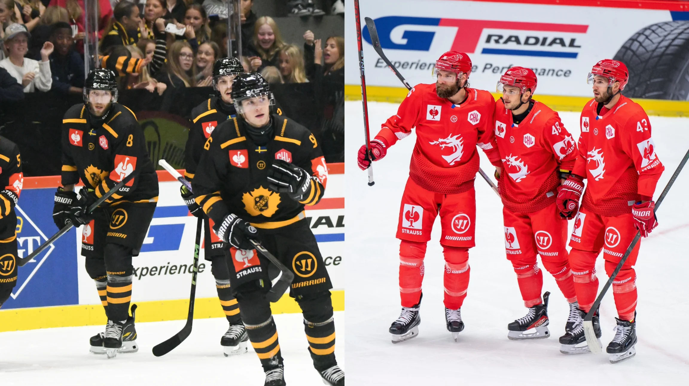 Read more about the article Trzyniec vs Skelleftea