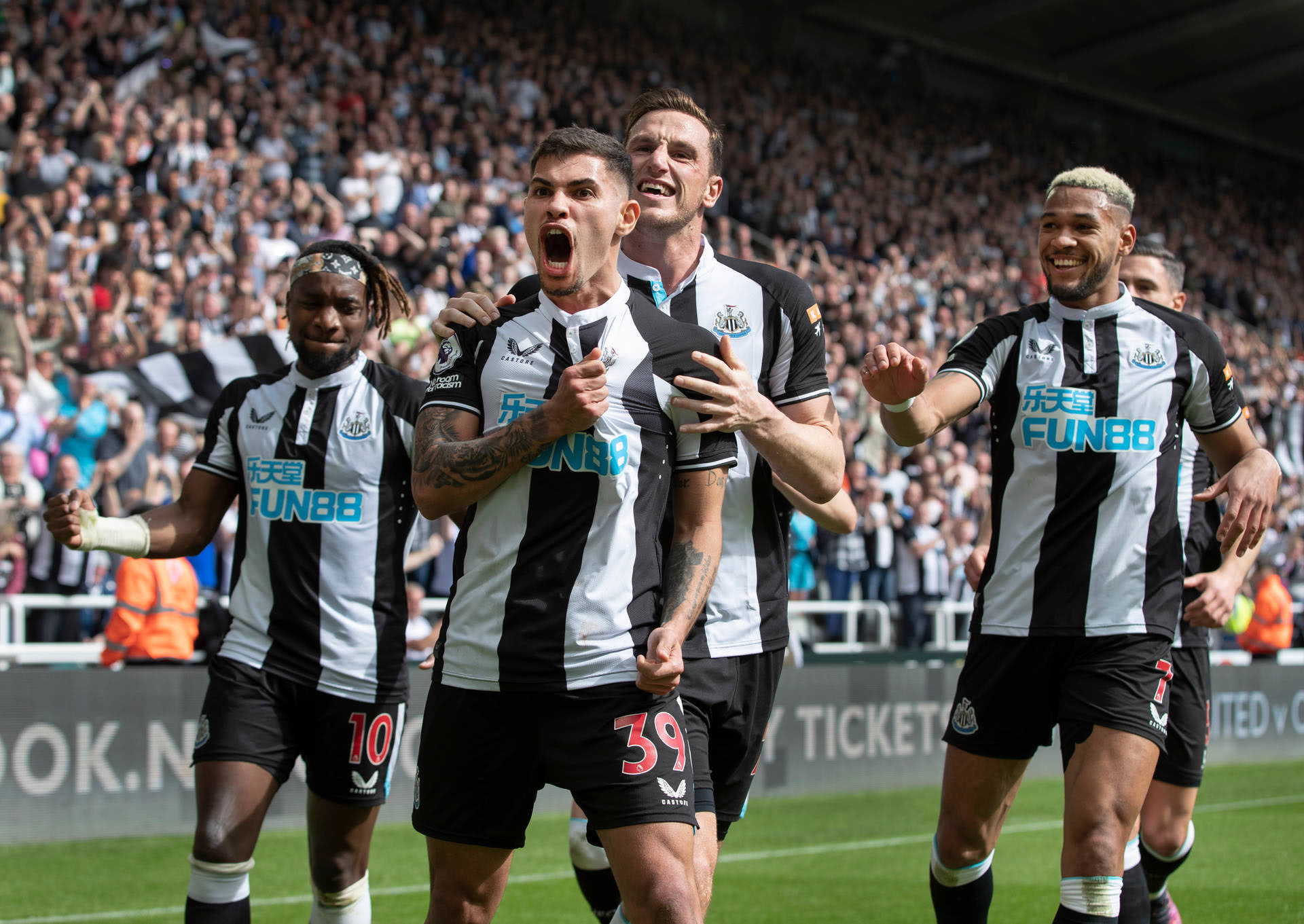 Read more about the article Newcastle vs Everton
