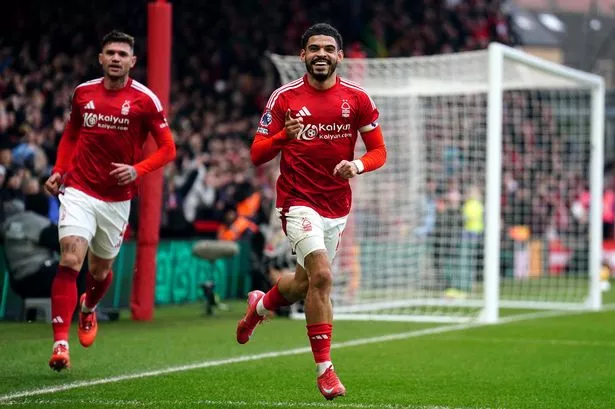 Read more about the article Nottingham vs Brighton (7:0) – Premier League, Kolejka 24